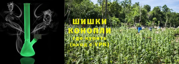 ПСИЛОЦИБИНОВЫЕ ГРИБЫ Белоозёрский