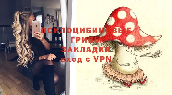 ПСИЛОЦИБИНОВЫЕ ГРИБЫ Белоозёрский