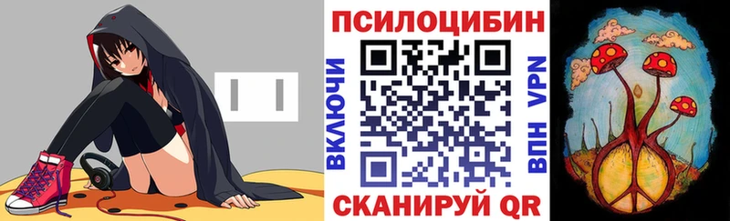 blacksprut сайт  наркошоп  Горняк  Псилоцибиновые грибы Psilocybe 